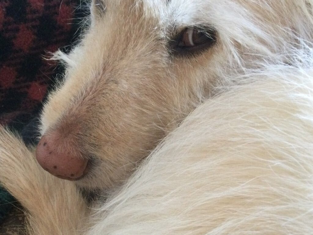 space ghost 🇺🇦 tweet media