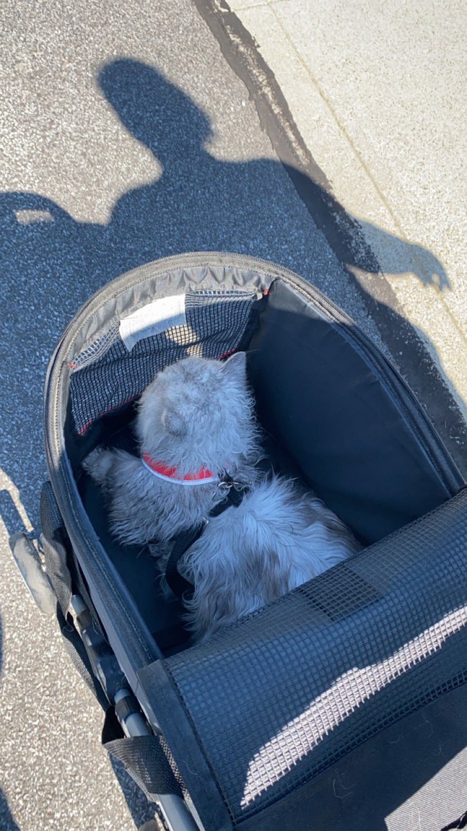 Going for a walk with my mothers