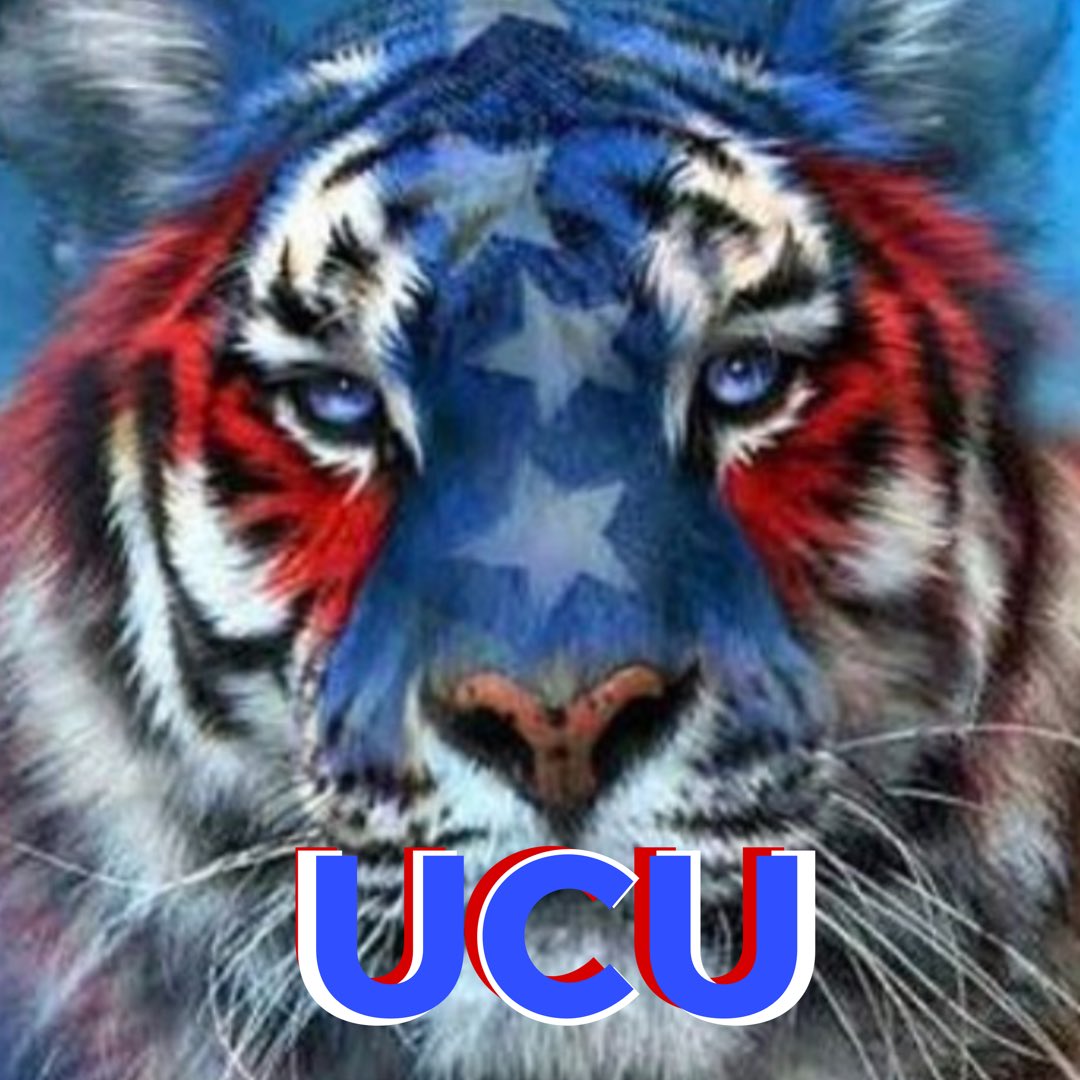 UCU_Performance's tweet photo. True Independence is achieved through knowledge both past and present! What got you here…Won’t get you there! The Future is Bright…You just have to Shine your Light 💡 in that direction! #YouControlYou #happy4thofjuly #4thofjuly #independenceday #happyindependenceday https://t.co/LODjKXDCII