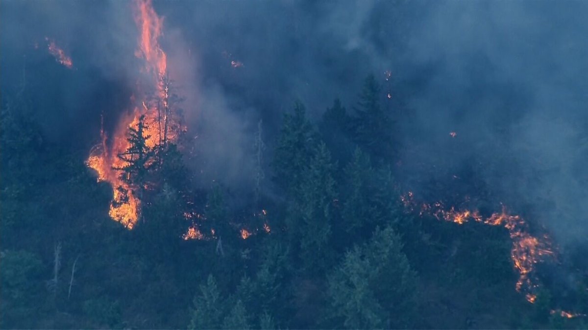 JeremyHarrisTV's tweet photo. NOW: #Air4 is arriving at the scene of a large wildfire near Shelton. Police are currently evacuating homes and multiple aircraft are actively working to suppress the fire. Live report on @komonews at 6:30. https://t.co/kTNakEesOe