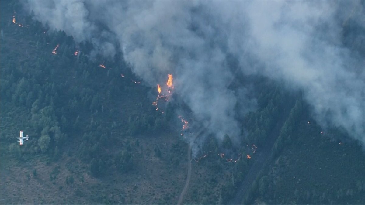 JeremyHarrisTV's tweet photo. NOW: #Air4 is arriving at the scene of a large wildfire near Shelton. Police are currently evacuating homes and multiple aircraft are actively working to suppress the fire. Live report on @komonews at 6:30. https://t.co/kTNakEesOe