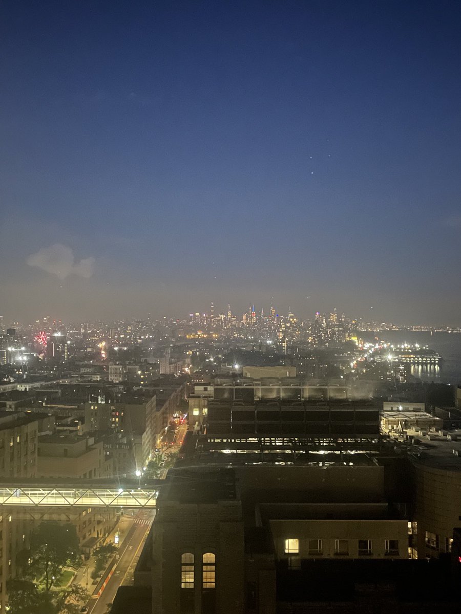 A scientist’s life! While working on my R01 renewal, the stunning fireworks outside remind you that it is July 4th. Happy 4th of July!