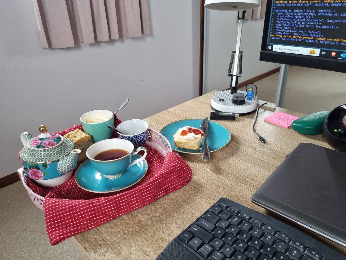 Andrew Bengsen 🐗🦌 tweet media