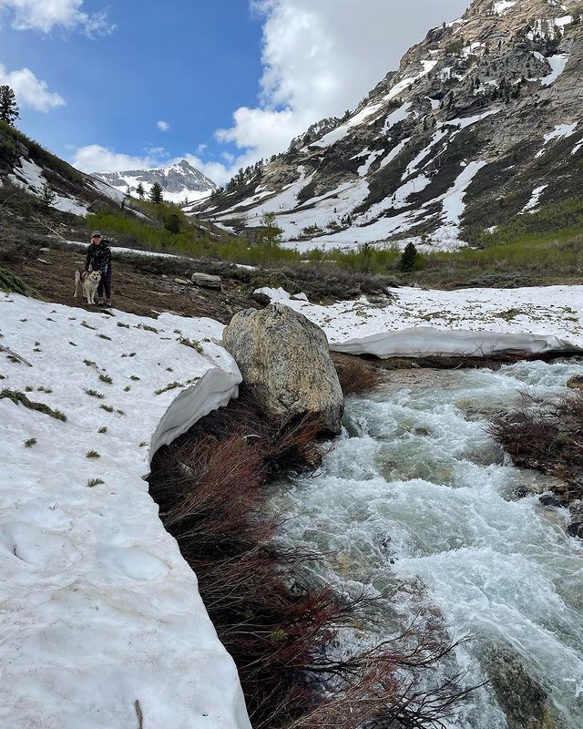 TravelNevadaEsp's tweet photo. Ruby Mountains Un tesoro oculto en Nevada.
Prepárate para adentrarte en un paraíso alpino lleno de montañas imponentes, lagos cristalinos y una fauna y flora vibrante.
#TravelNevada #ExploraNevada
📸: @moki_in_the_mts https://t.co/3huCU8dX8a