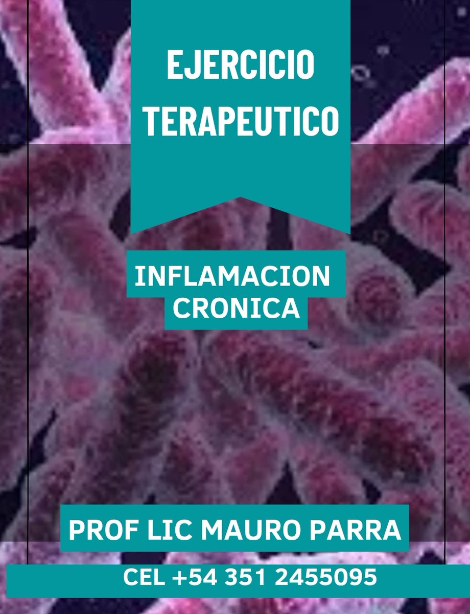 profmauroparra's tweet photo. Inflamación Crónica &amp; Ejercicio Físico Adaptado 
+  Info:  0351 245-5095
 #ExerciseisMedicine #exercise #medicine #miami #mexico #peru #chile #brasil #uruguay #bolivia #paraguay #ecuador #colombia #panama #usa #canada #costarica #elsalvador #guatemala #honduras #guayana #guyana https://t.co/2inawqzojf
