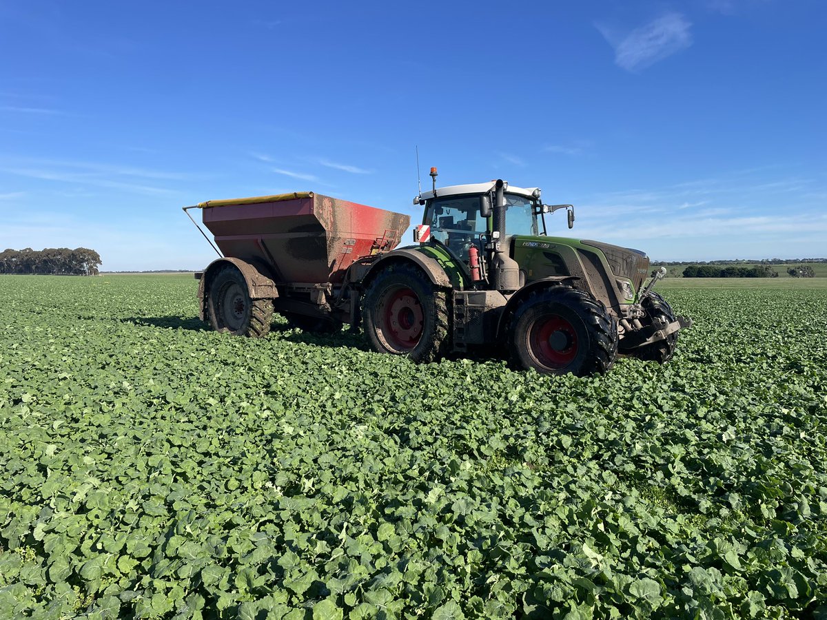 What a cracking day to be out playing in the mud in western vic 👌👌 this crop is definitely one out of the box !! Well done to the owners @grubspreading <a href="/BredalAustralia/">Ben Nichols</a> <a href="/wdjmercer/">Willy Mercer</a> <a href="/bjbatman/">furnerfarms</a> <a href="/Albeveridge1/">Alister Beveridge</a> <a href="/GerardDiprose/">Gerard Diprose</a> #HRZ