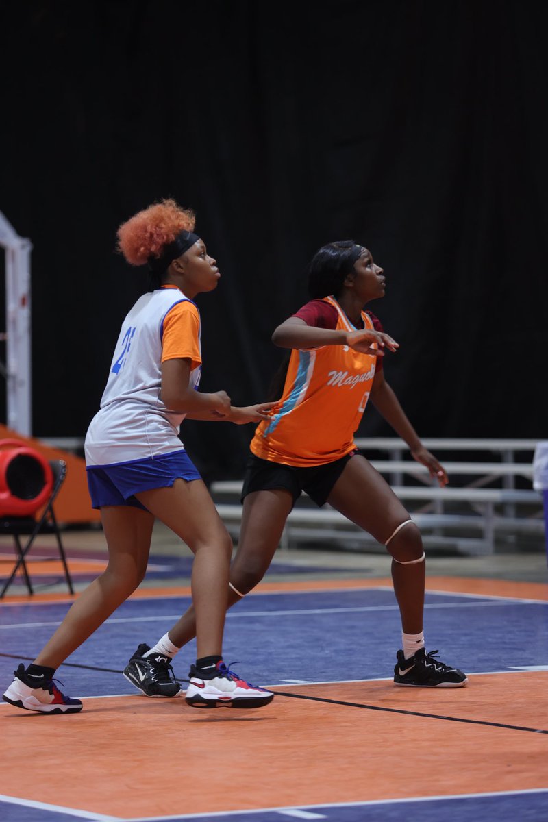 TDA Lady Hoops tweet media