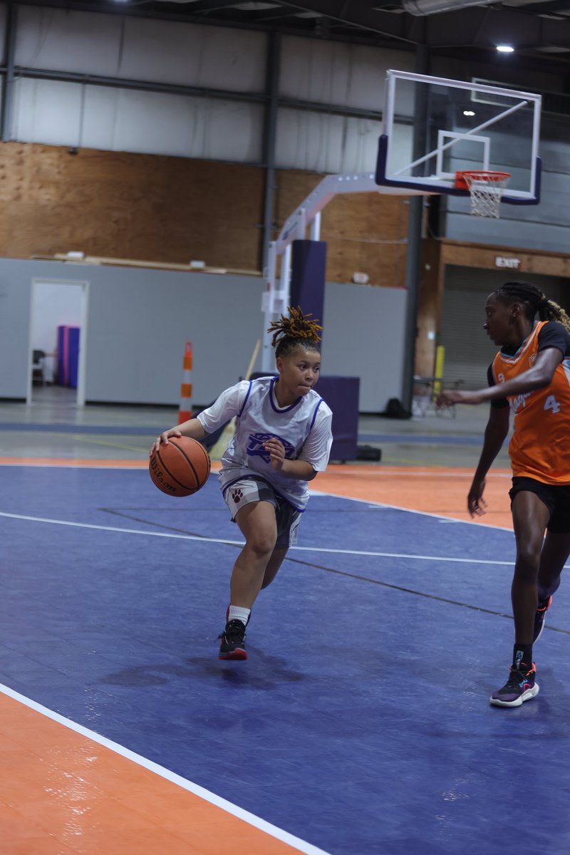 TDA Lady Hoops tweet media