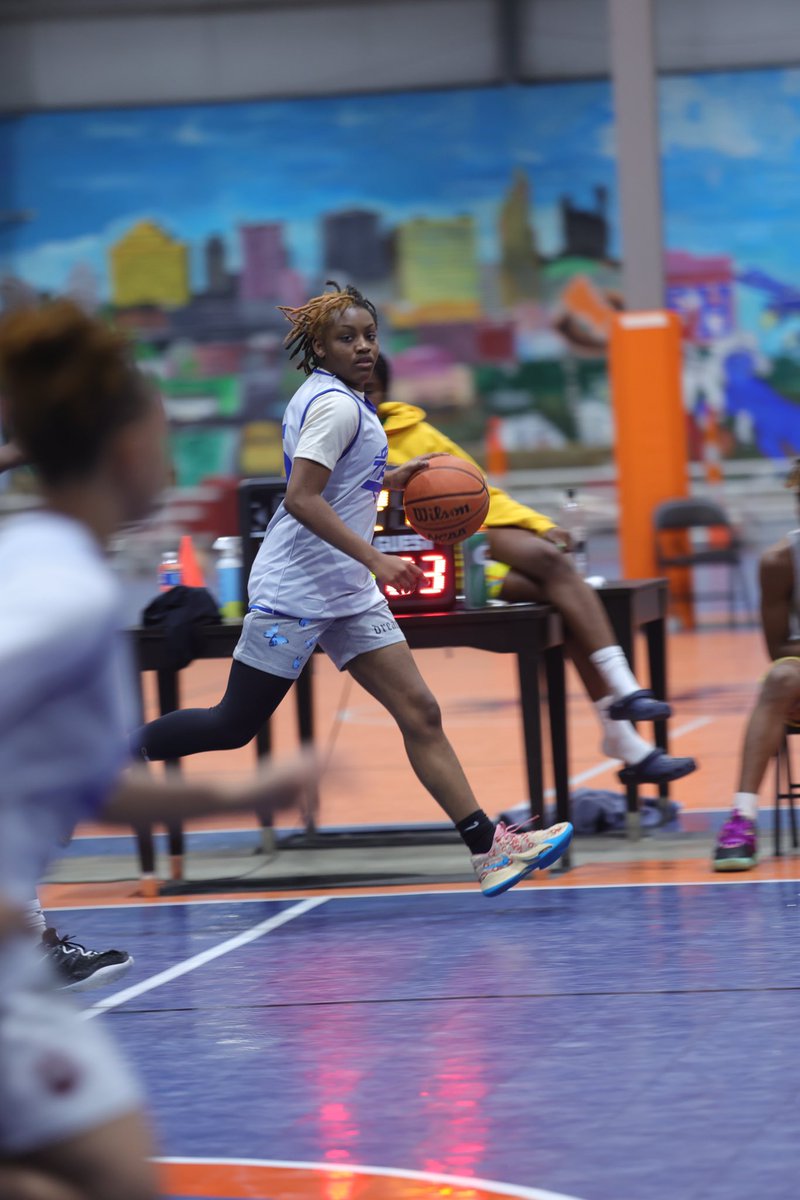 TDA Lady Hoops tweet media