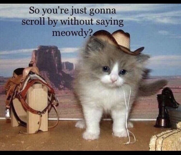 ᅠᅠᅠᅠᅠᅠᅠᅠᅠᅠᅠᅠᅠᅠᅠᅠᅠᅠᅠᅠᅠᅠᅠᅠᅠᅠᅠᅠᅠᅠ˖ᅠ𝒢𝒘͟𝒆͟𝒏 ͙ * ༗ᅠ tweet media