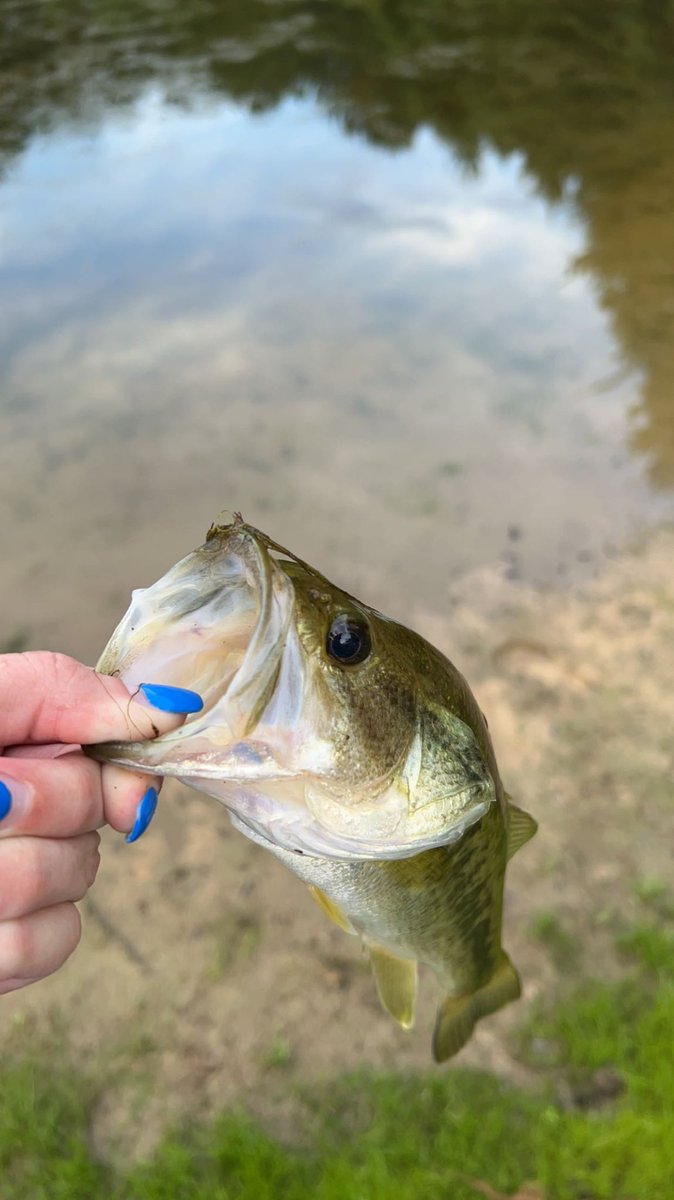 JonBenet_Kepper's tweet photo. In my element this fourth of July until…

See what my third catch costed me:

#merica https://t.co/PCqQDDhSyP