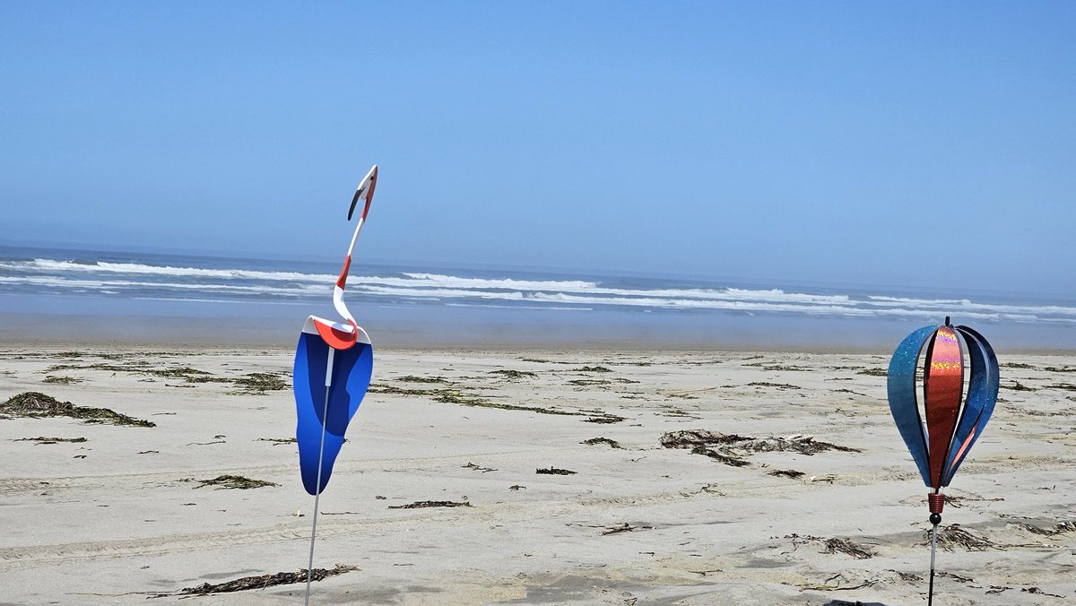 RathNatasatch's tweet image. #kiteflyer #kite #kiteflying #IndependenceDay #July4th #July4