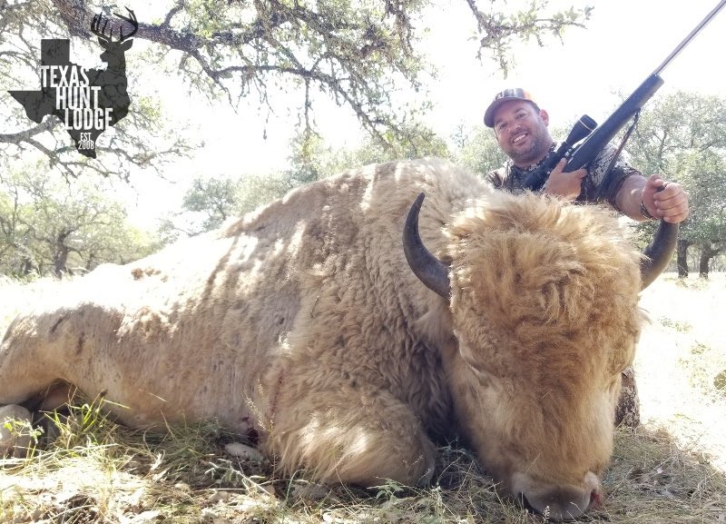 Lakota Man tweet media