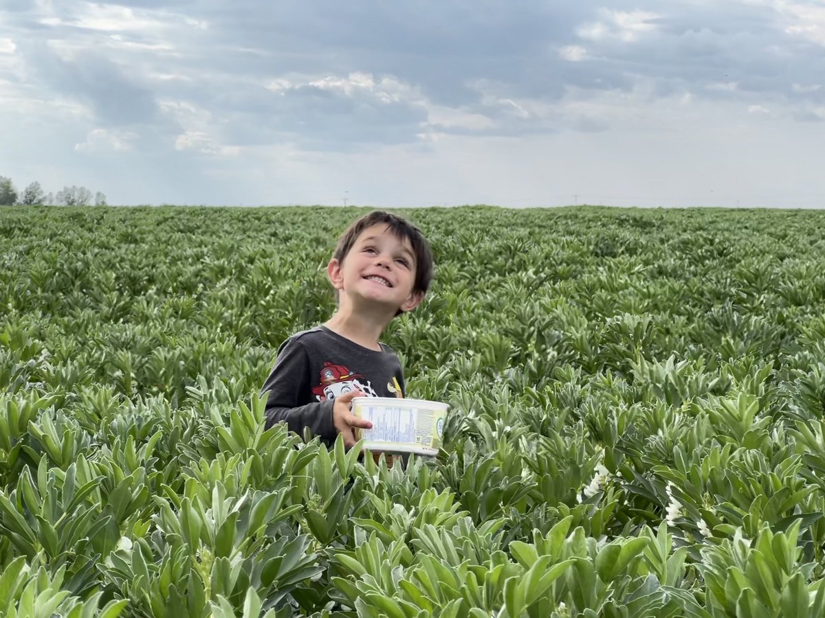 Stamp Seeds 🌱 tweet media