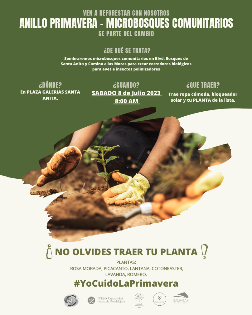 MorasBosques's tweet photo. Los invitamos a ser parte del proyecto Microbosques Comunitarios. Sábado 8 de julio a las 8:00am en Telmex frente a Galerías Santa Anita. 
Reforestaremos los camellones con plantas que atraigan polinizadores y aves migratorias. No olviden traer sus plantas y bloqueador solar. https://t.co/pSlTMRaABD