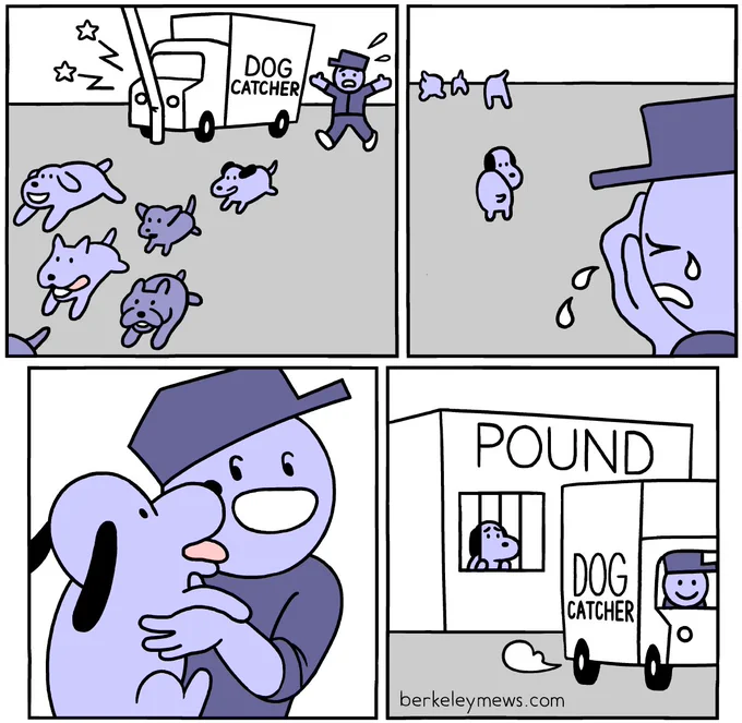dog catcher 