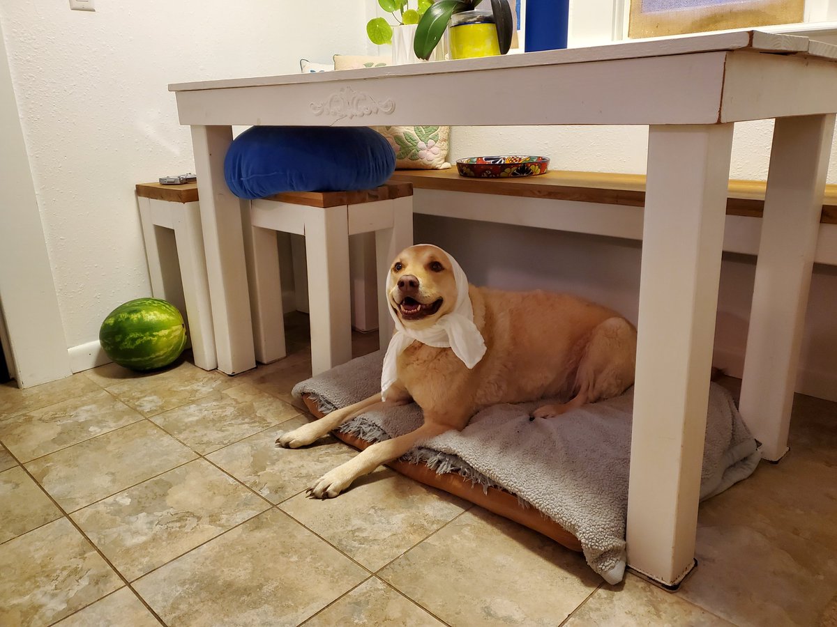 Happy 4th of July,  my dog needs ear muffs for the fireworks. You definitely don't need any for cowboyjoeradio.com It's always FREE 💯