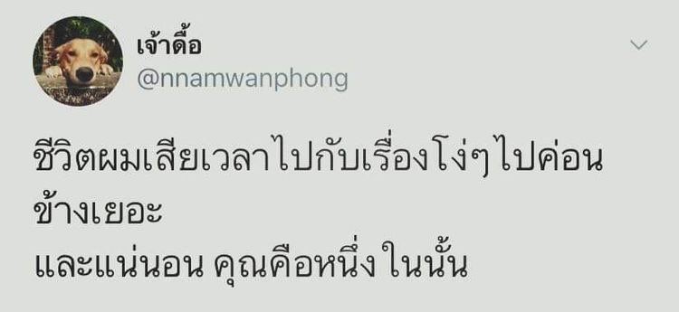 บ้บ (@dogonboo) on Twitter photo 