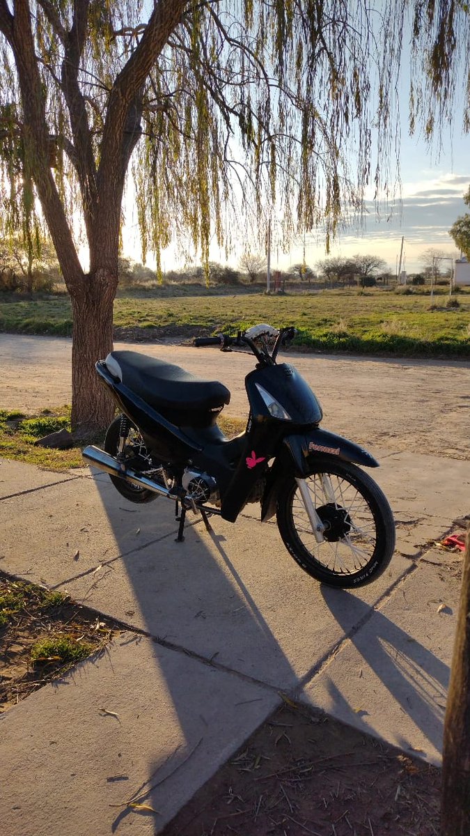 la mas fiel de todas✌️