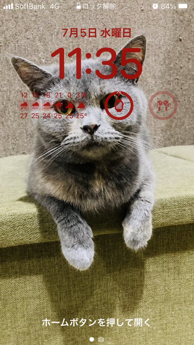 SameNeko24's tweet photo. #これを見た人はロック画面を晒せ

ニャーン‼︎ https://t.co/u0zWCunIFW