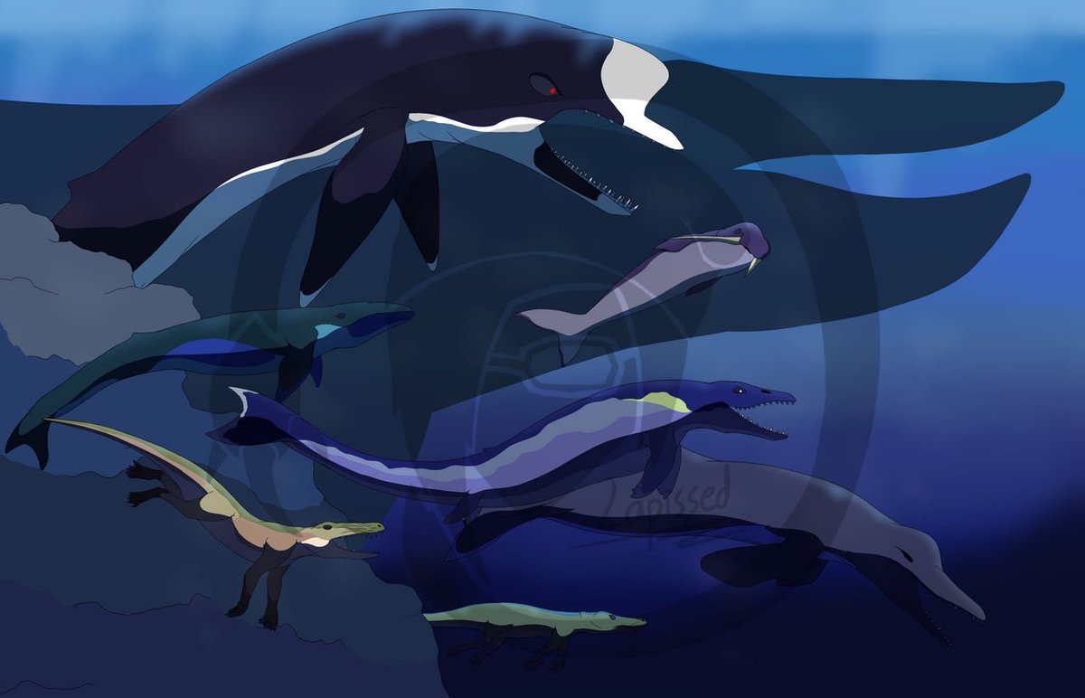 LapissedL4zuli7's tweet photo. In light know-nothing-know-it-alls thinking they know everything, I'd like to take this opportunity to plug some art I did earlier this year for World Whale Day, celebrating the bizarre evolution of cetaceans.
#WorldWhaleDay #paleoart #artistontwittter #arttwt #whaleevolution https://t.co/SEJZXlCpse