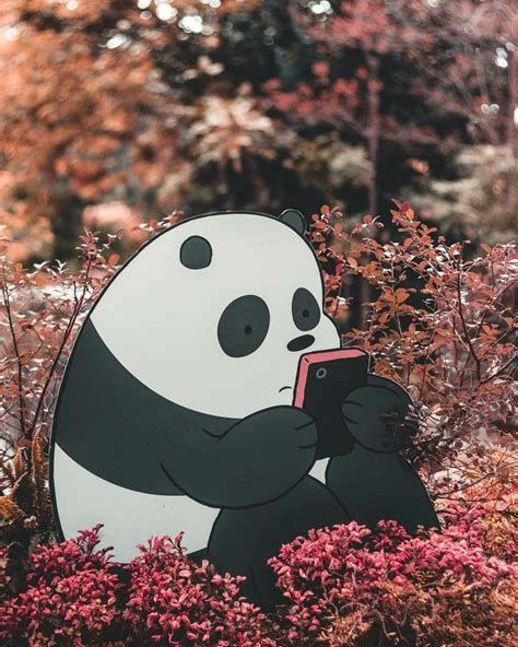 WeBareBearsPage's tweet photo. we bare bears in real life 🥹🫶 https://t.co/w8igZPdXIP