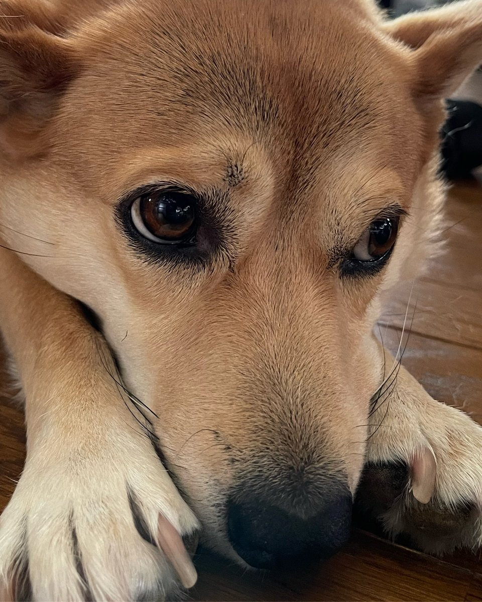 本日、明日はお休みとなっております。
金曜日より通常営業です。
どうぞよろしくお願いいた🙏