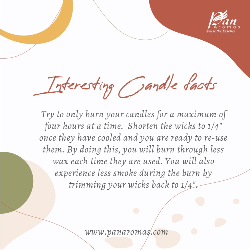 panaromascandle's tweet photo. #panaromas #typesofwaxcandle #candlefacts #pillarcandle #rose #facts #knowledge #love #fashion #art #candles #photooftheday #photography #beautiful #instagram #follow #happy #nature #romantic #repost #instadaily #beauty #food #instalike #friends #smile #family #photo #oil https://t.co/ZJeCt21AQn