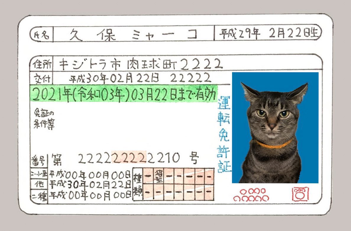 JapanSalaryboom's tweet photo. อันนี้ตลกอ่าาาาา คนญี่ปุ่นบอกว่า ถ้าอยากถ่ายรูปติดบัตรให้น้องแมว ควรจะถ่ายน้องตอนที่กำลังทำธุระอยู่ในกระบะทราย ภาพหน้าตรงก็จะออกมาอย่างที่เห็น

555555555 https://t.co/n6ZhFStwfx