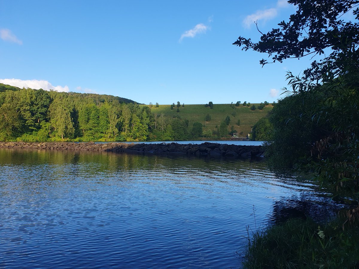faltmann's tweet photo. Guten Morgen aus Hasenfeld. Nach dem erfrischenden Regen gestern ist das Staubecken wieder voll. #Heimbach #Rursee #Ferienhaus @FerienamRursee https://t.co/isNa4g94h8