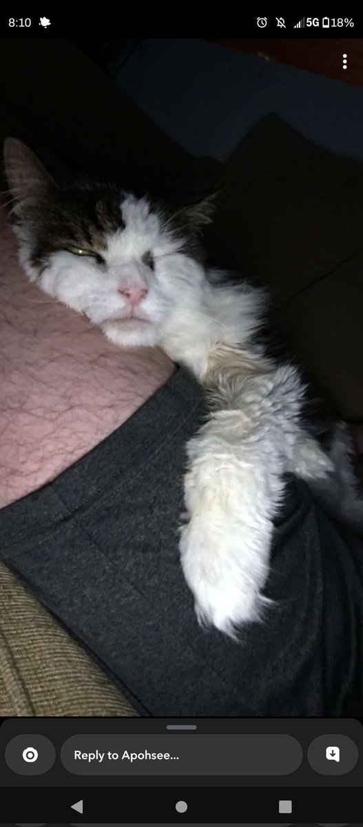 peanutbudderj's tweet photo. sleebing on my dad. happy birthday americuh 🎉💥 (I can't hear da fireworks cuz I'm mostly deaf hehe) https://t.co/lOSK4fc5pd