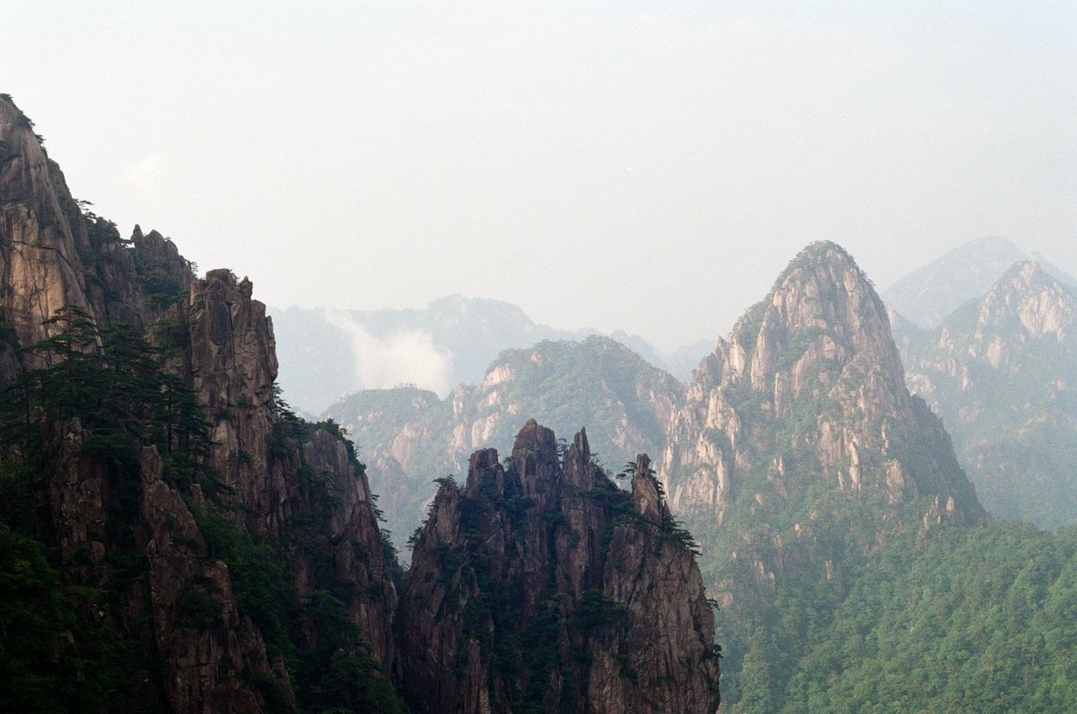 henry🔻 tweet media