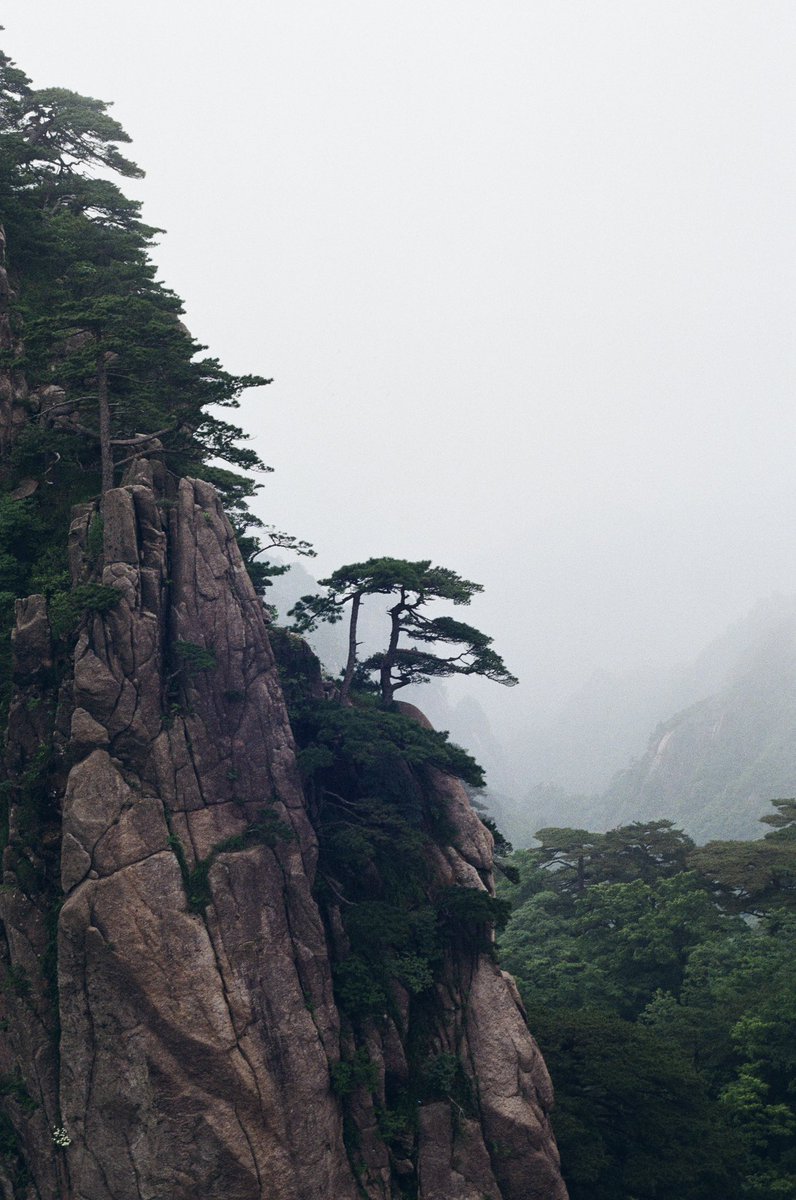 henry🔻 tweet media