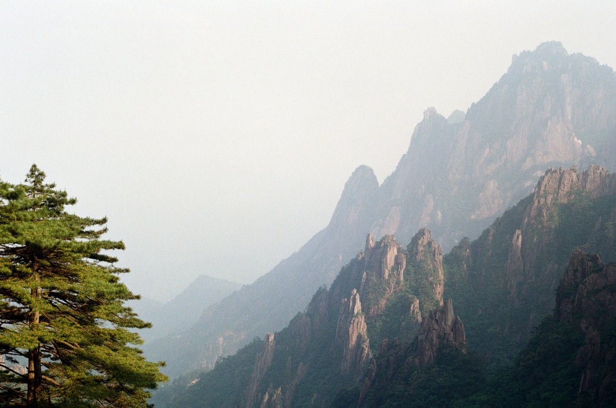 henry🔻 tweet media