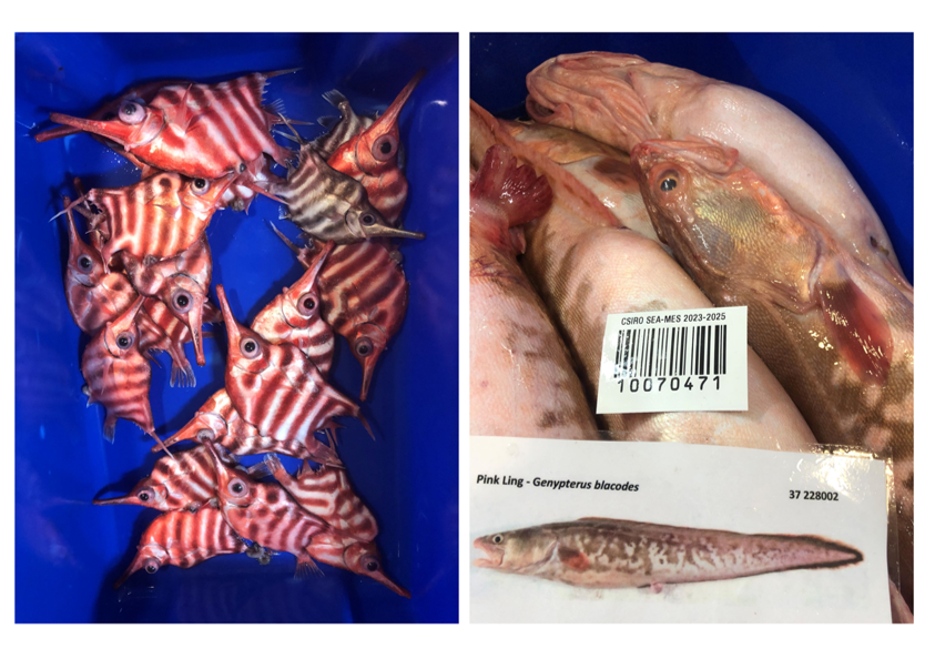 Lorne Richard Little tweet media