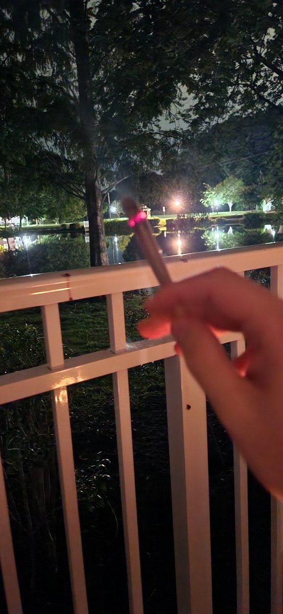 Mr. Voorhees tweet media