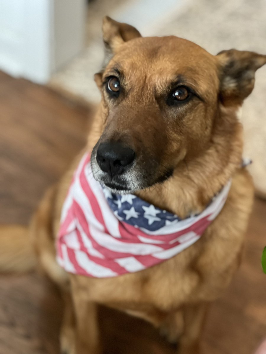 deathcruiser tweet media