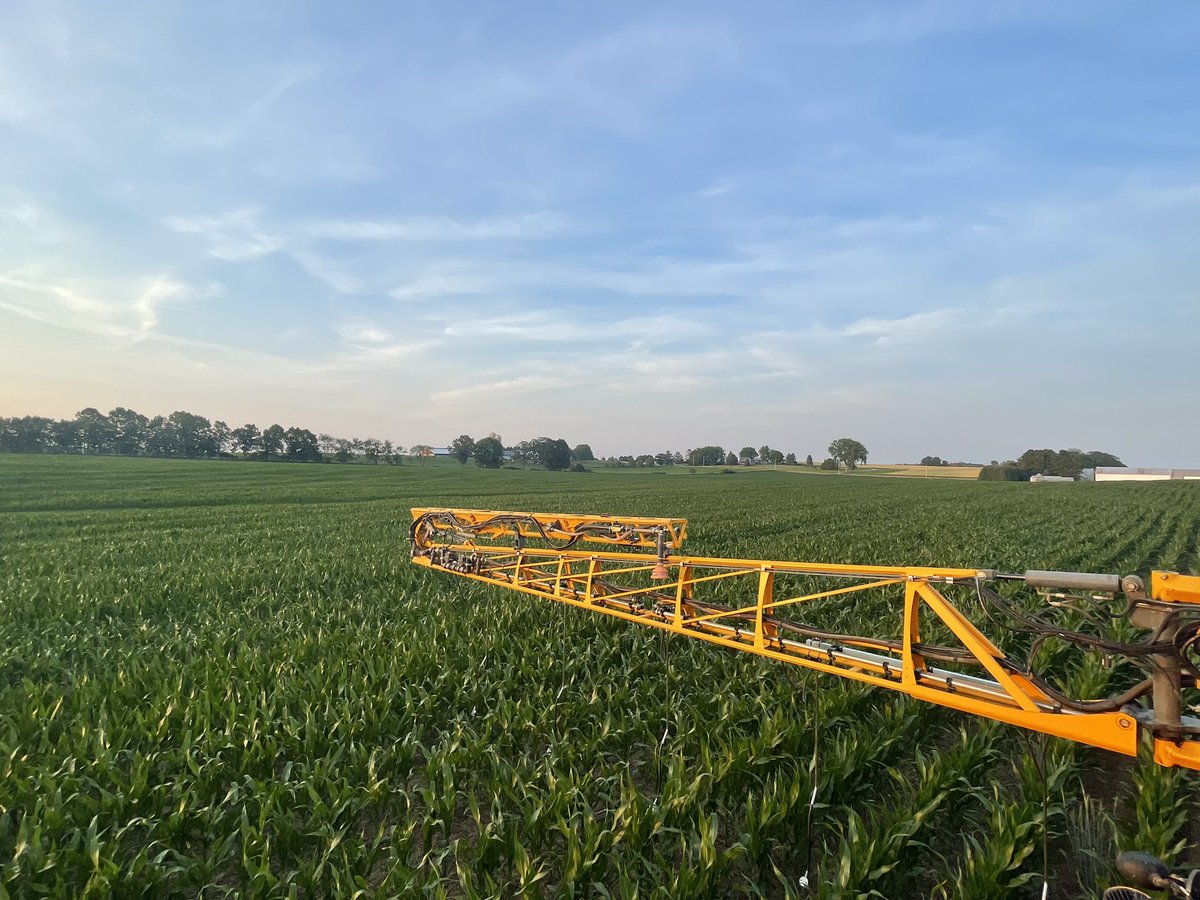 Steve Wilkens tweet media