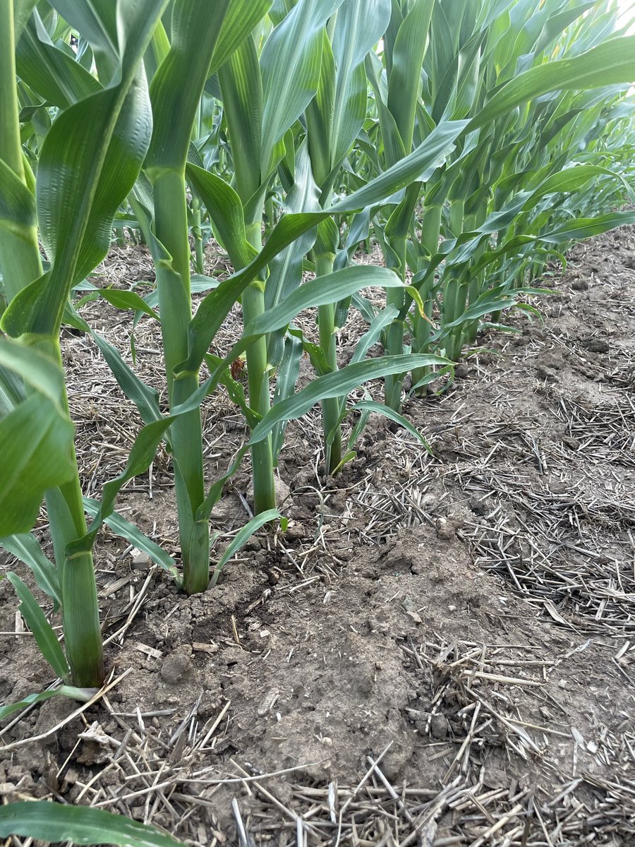 Steve Wilkens tweet media