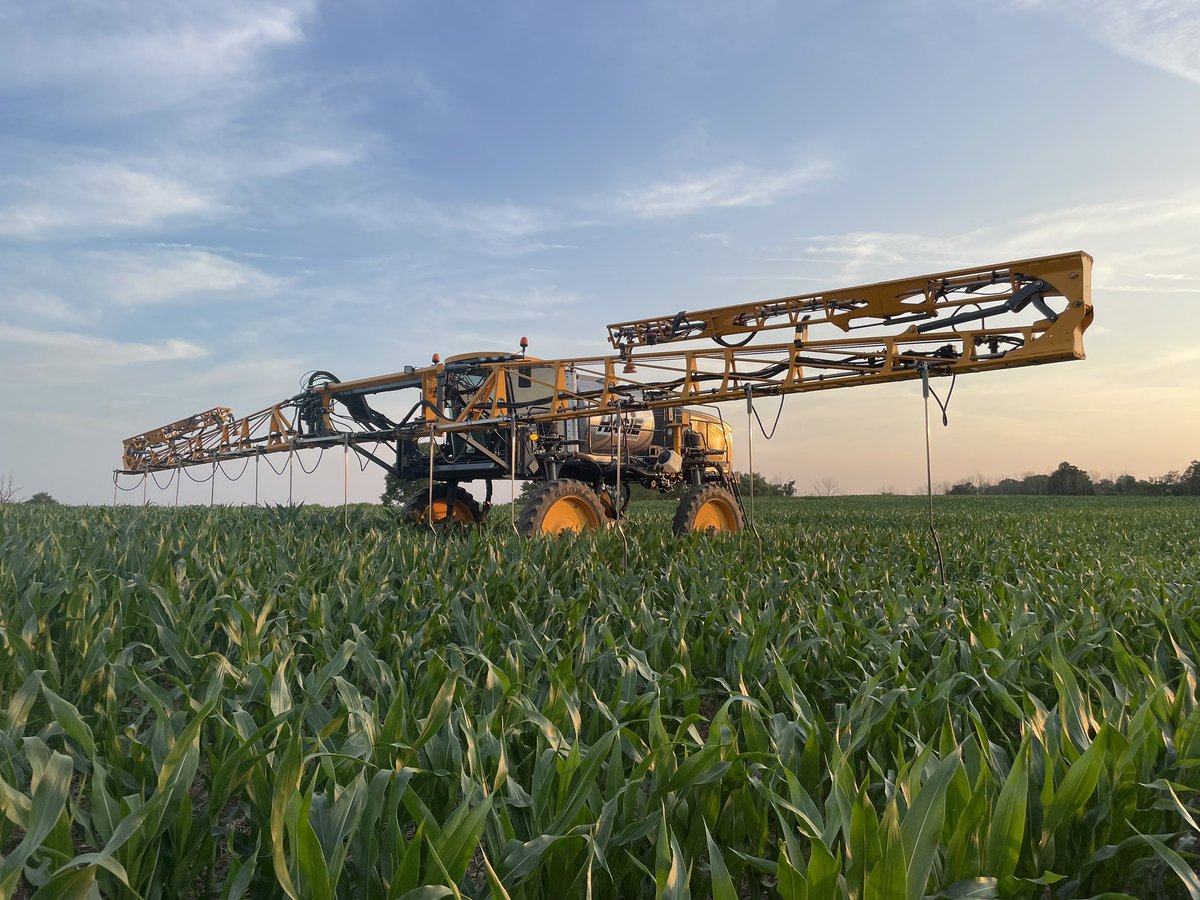 Steve Wilkens tweet media