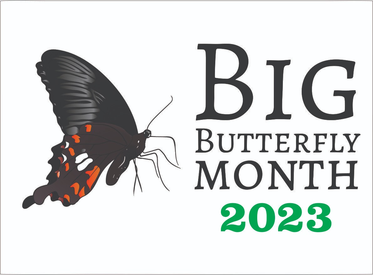 Big Butterfly Month - India (@bbm_ind) on Twitter photo Time to start planning events for Big Butterfly Month 2023 which is #September. What are you planning? Please share your ideas with us. #BBM2023 #BigButterflyMonth #BigButterflyCount
<a href="/inbiodiversity/">India Biodiversity Portal</a> Time to start planning events for Big Butterfly Month 2023 which is #September. What are you planning? Please share your ideas with us. #BBM2023 #BigButterflyMonth #BigButterflyCount
<a href="/inbiodiversity/">India Biodiversity Portal</a>