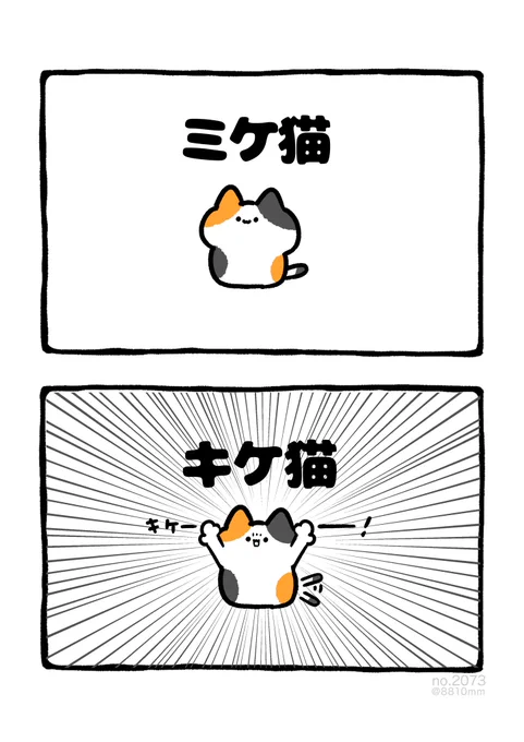 キケ猫 