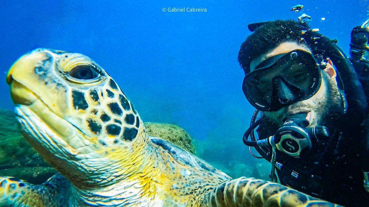 cabreiradive's tweet photo. Pausa pra foto….. 📸
.
#marear #mergulho #scuba #scubadiving #padi #padibr #padibrasil #paditv #mar #ocean #nature #naturephotography #photography #natureza #naturelovers #natureshots #vida #life #light #colors #luz #turtle #marineturtle https://t.co/8kEEEPLTFt