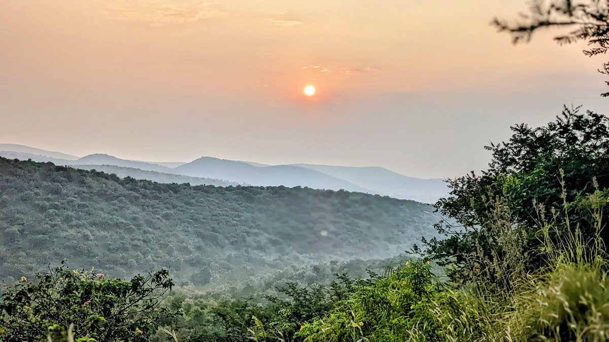 dcfgadag's tweet photo. When the sun sets on #Kappathgudda # Gadag @hkpatil @eshwar_khandre @aranya_kfd https://t.co/vpx65JzW01