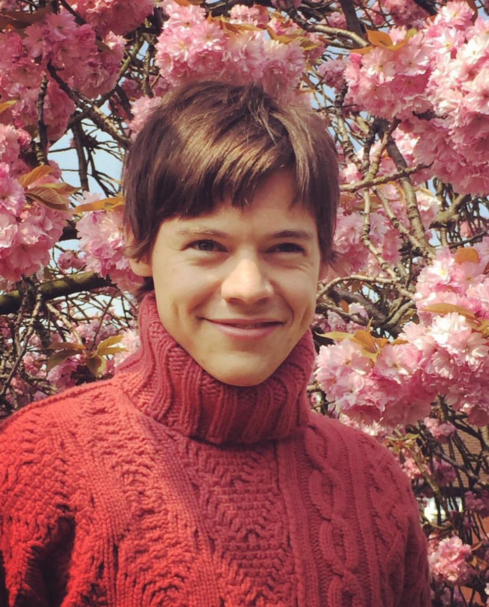 . (@lourryaskittens) on Twitter photo 