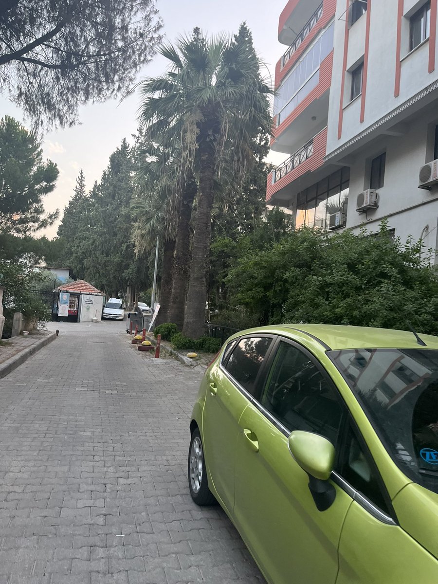 cookydiet's tweet photo. walked my dogs at 530 am today best idea i ever had it was so nice outside there was only a handful of people and birds were chirping 10/10 hopecore #findbeautyinsmallthings https://t.co/ZYkTRgJAXl