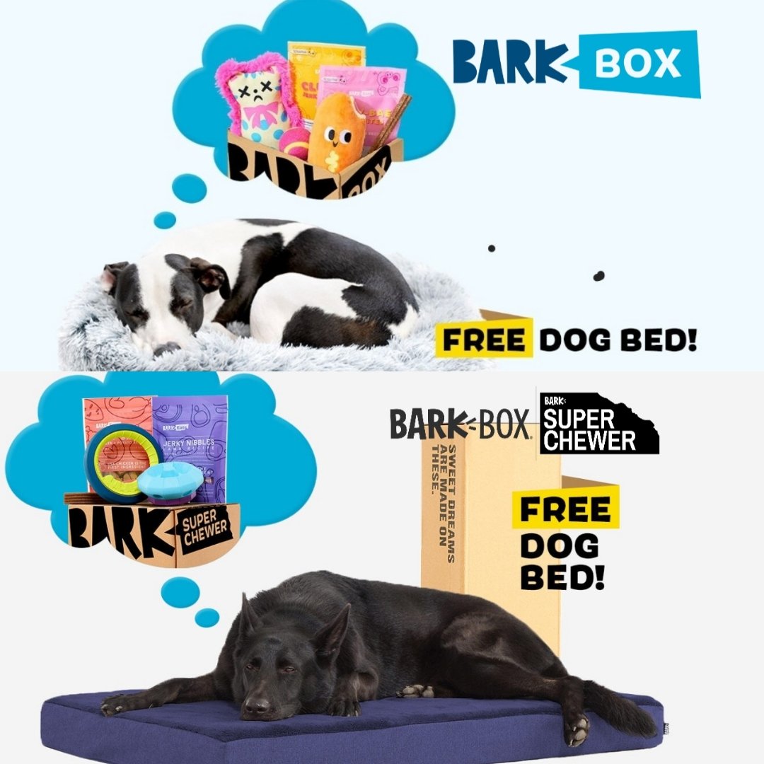 dogfatherteebee's tweet image. FREE DOG BED ($65 DOLLAR VALUE)
⬇️⬇️⬇️
BARKBOX kqzyfj.com/click-10087894… 

BARKBOX SUPER CHEWER BOX
anrdoezrs.net/click-10087894…

FREE BLINK CAMERA ($35 VALUE)
⬇️⬇️⬇️
BARKBOX
tkqlhce.com/click-10087894…

BARKBOX SUPER CHEWER BOX
jdoqocy.com/click-10087894…

#dogtoys #freebed #freecamera