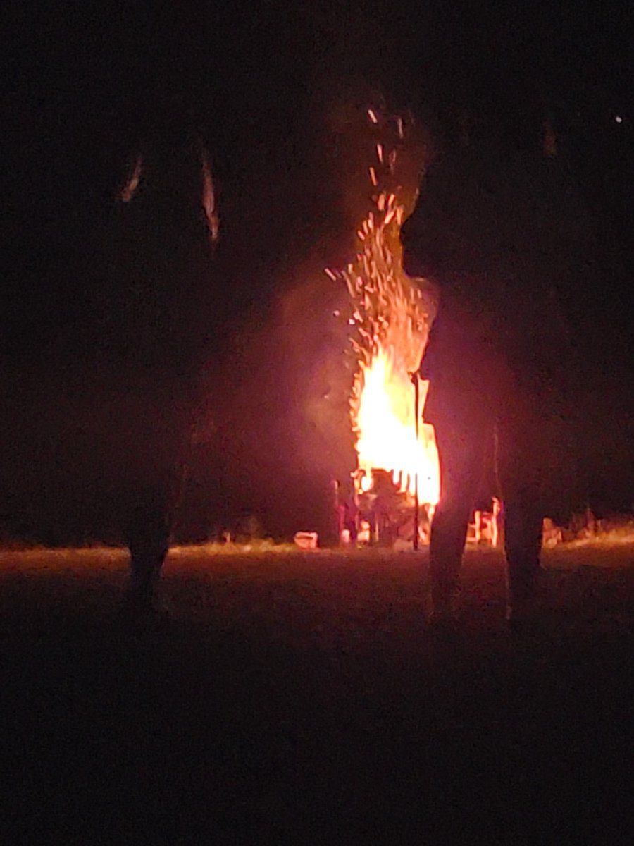 CherryFudge96's tweet photo. Just straight up burning things, happy 4th https://t.co/EBxxm8N95e
