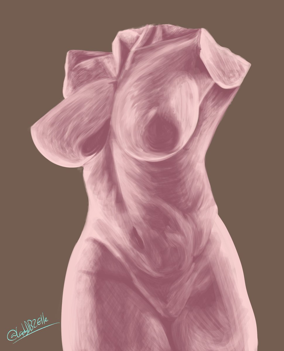 LadyDBZElle's tweet photo. Chalk brush study of a female torso from last month!
#Torsostudy #Digitalart #Clipstudiopaint #femalemuscle #statue #gestures #Artstudies https://t.co/f5TN9ZW1PP