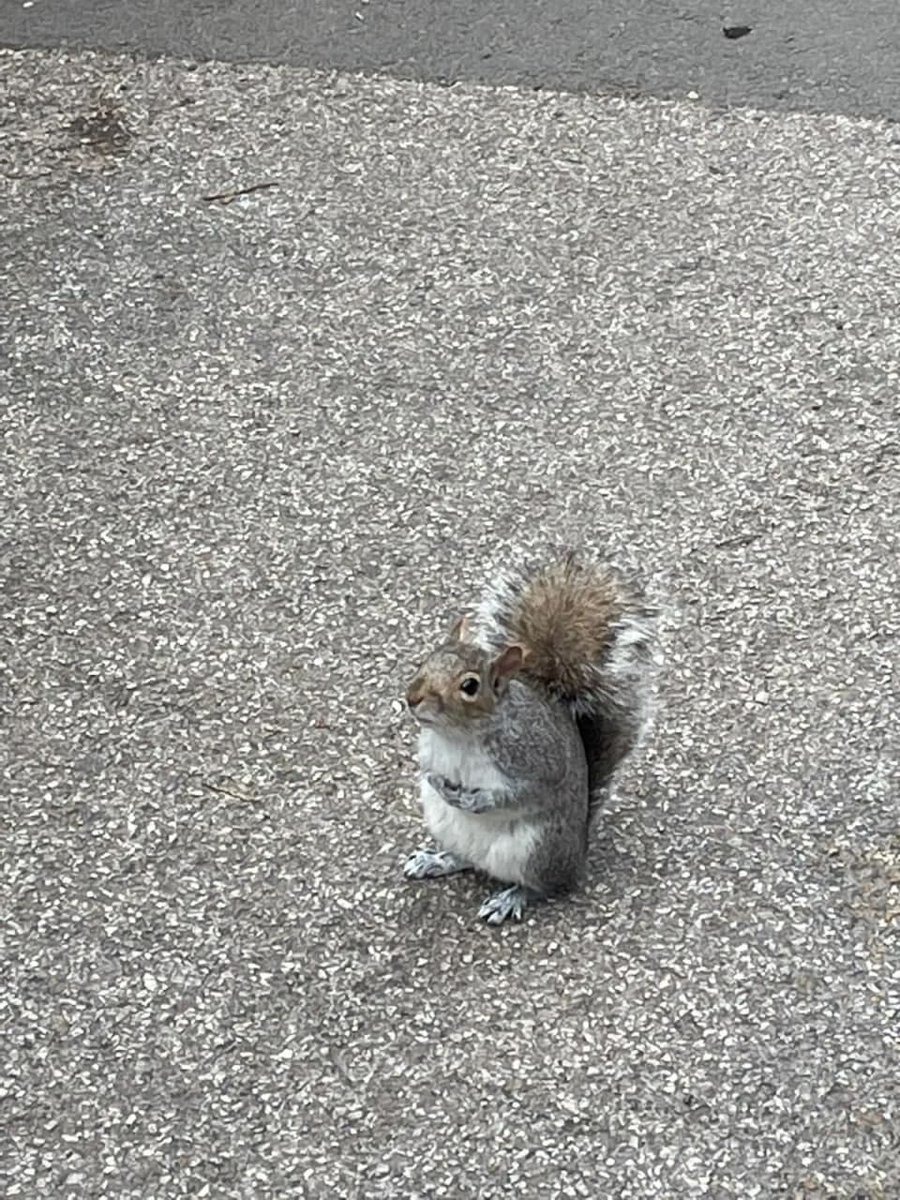 Erin3210's tweet image. I saw it on the road